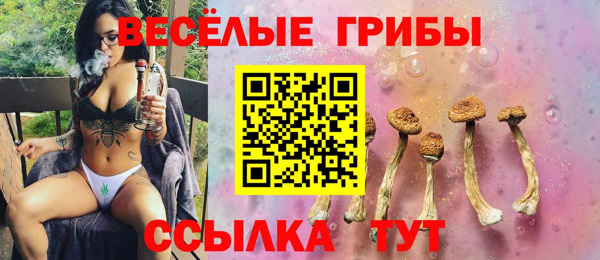 Псилоцибиновые грибы мицелий Нерюнгри